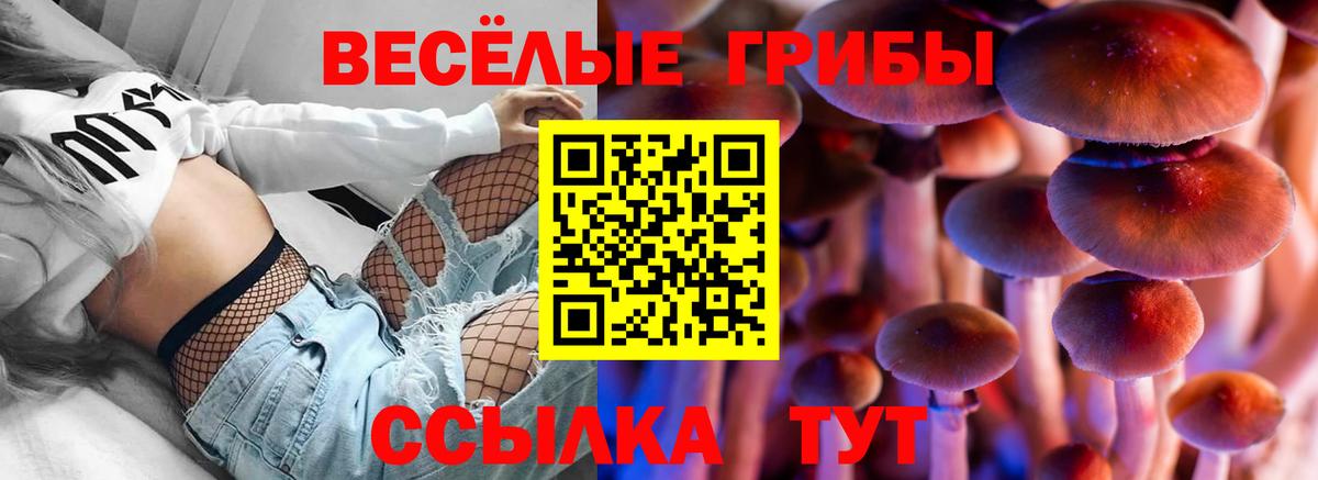 Псилоцибиновые грибы мицелий Железногорск