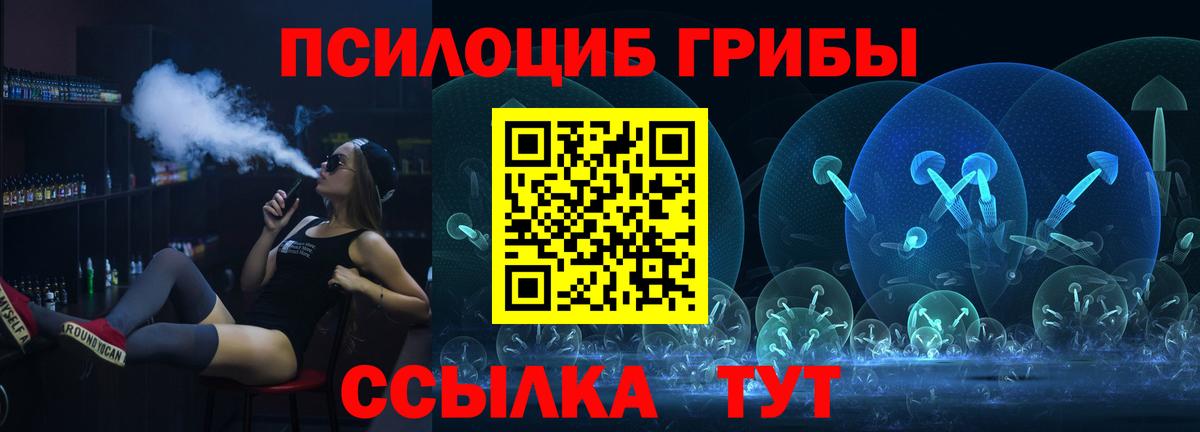 Железногорск  где можно купить наркотик  Галлюциногенные грибы Magic Shrooms  Вход с VPN  Галлюциногенные грибы Magic Shrooms 
